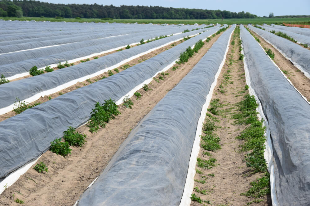 Producent folii ogrodowej